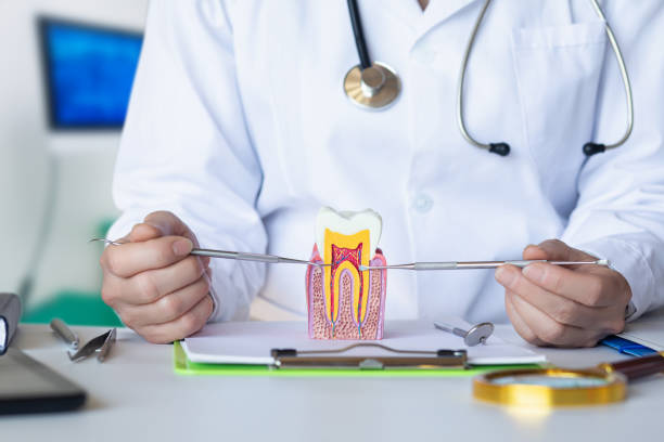 Best Pediatric Emergency Dentist in Scottsville, NY